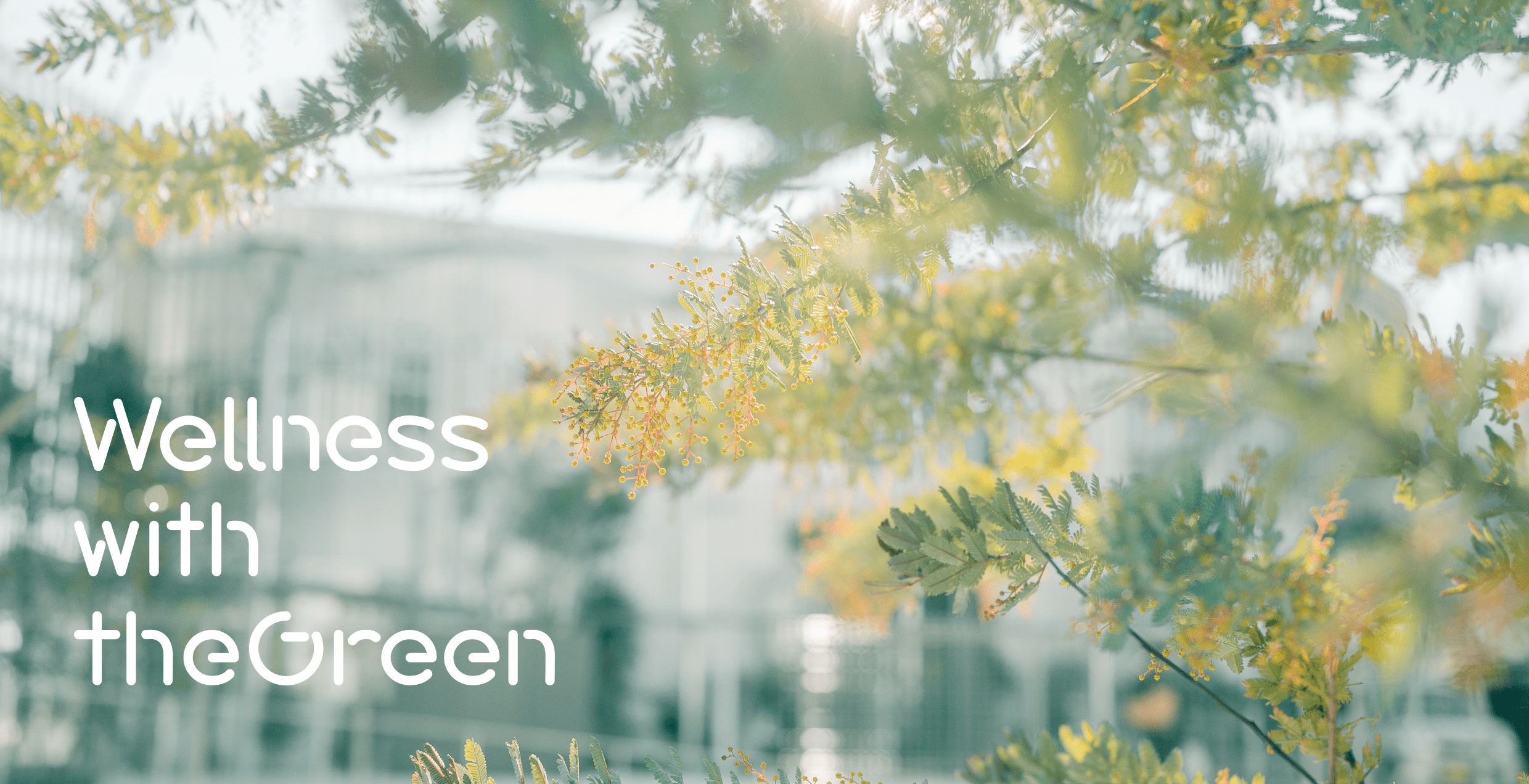 Wellness with theGreen